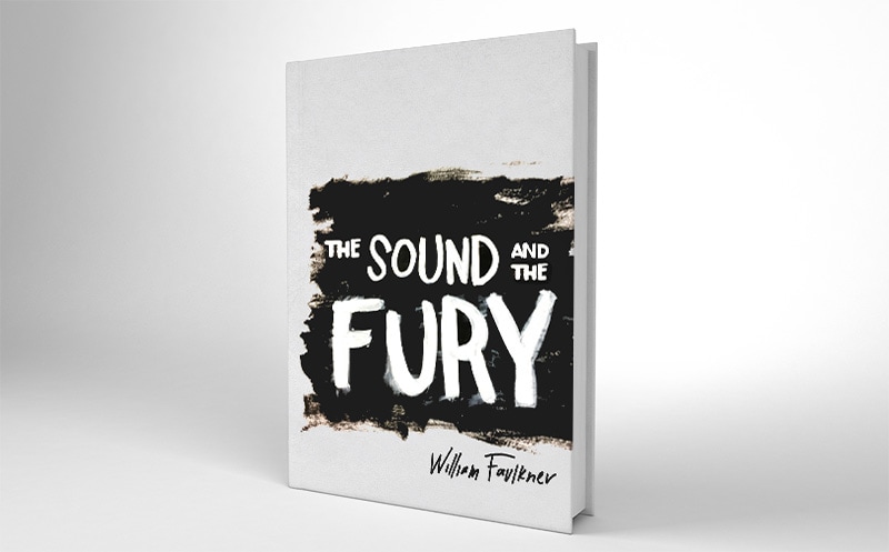 the sound of fury book